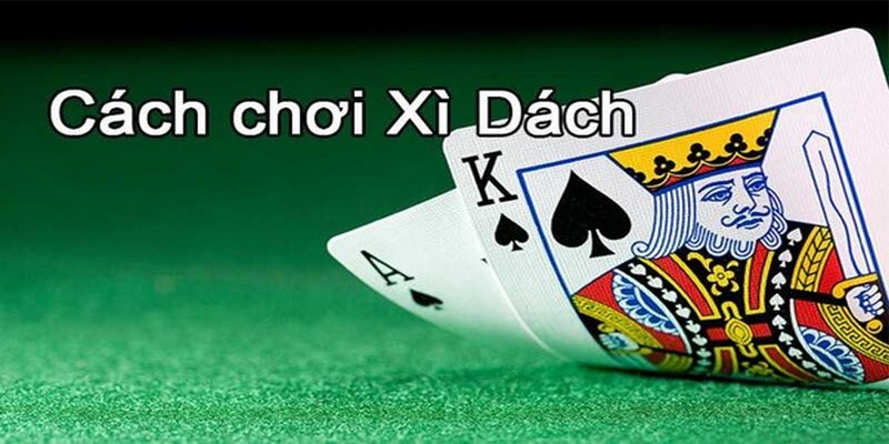 Hướng dẫn cách chơi Xì Dách chi tiết, dễ nắm bắt