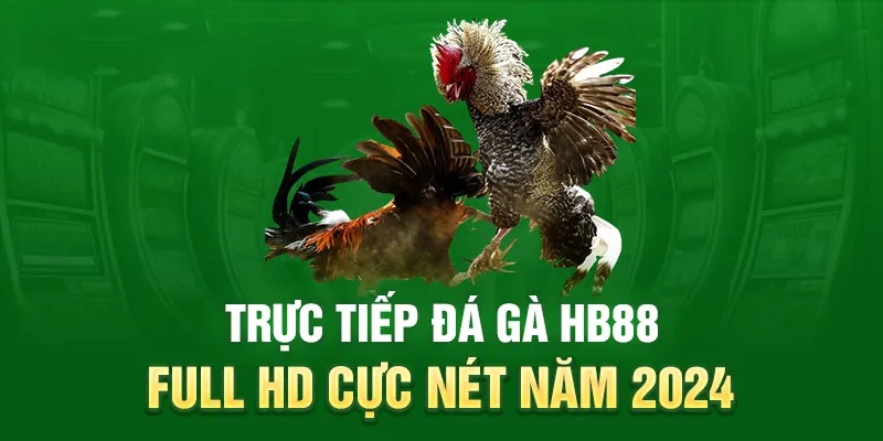 Tham gia đá gà C4 tại HB88
