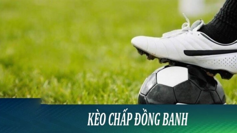 Cách đọc kèo đồng banh