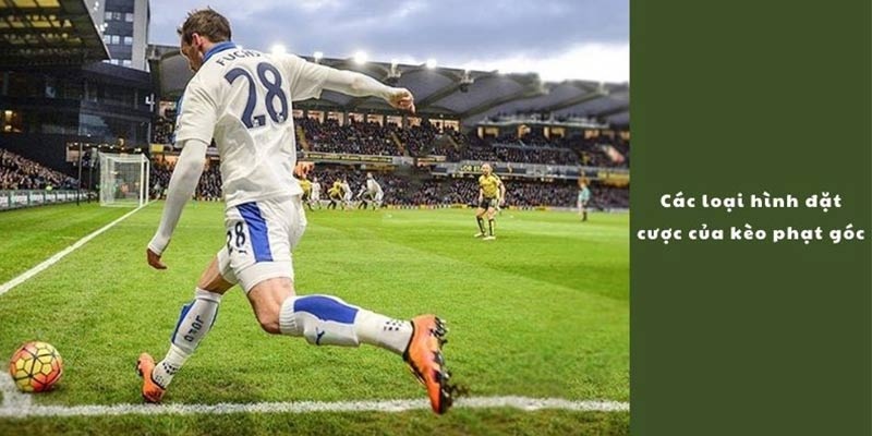Loại kèo cần quan tâm tổng số phạt góc cả 2 đội trong trận