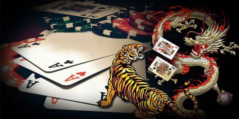 Khách hàng cần có tính kiên trì khi tham gia Rồng Hổ HB88