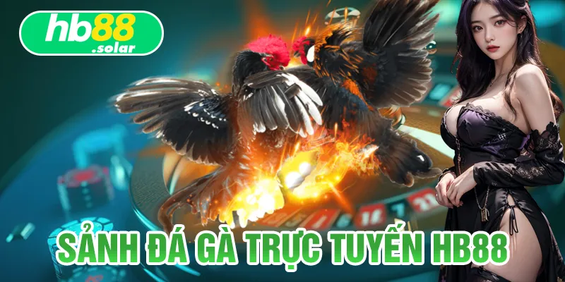 Tựa game đá gà online với nhiều trận đấu kịch tính