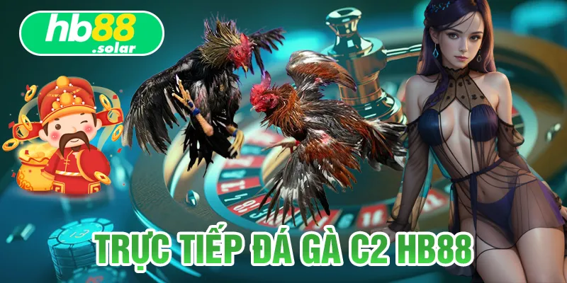 trực tiếp đá gà c2 hb88